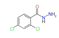 2,4-Dichlorobenzhydrazide, 97%