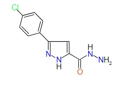 3-(4-Chlorophenyl)-1H-pyrazole-5-carbohydrazide, 97%