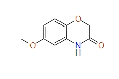 6- Ethoxy-2H-benzo[b][1,4]oxazin-3(4H)-one, 97%