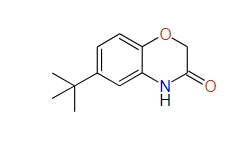 6-Tert-Butyl-2H-benzo[b][1,4]oxazin-3(4H)-one, 95%