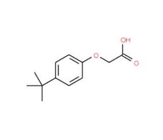 4-Tert-butyl phenoxyaceticacid