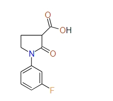 1-(3-Fluorophenyl)-2-oxopyrrolidine-3-carboxylic acid, 95%