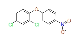 1-(2,4-Dichlorophenoxy)-4-nitrobenzene, 97%