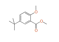 Methyl 5-tert-butyl-2-methoxybenzoate, 97%