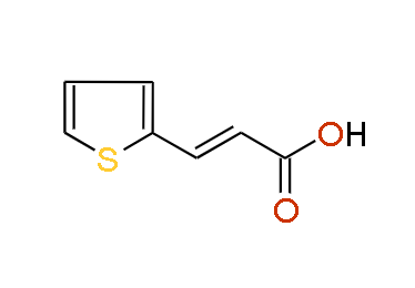 3-(2-Thienyl)acrylic acid, 97%