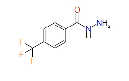 4-(Trifluoromethyl)benzohydrazide, 98%