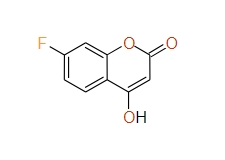 7-Fluoro-4-hydroxy-2H-chromen-2-one, 97%