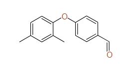 4-(2,4-Dimethylphenoxy)benzaldehyde, 97%