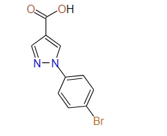 1-(4-Bromophenyl)-1H-pyrazole-4-carboxylic acid, 95%