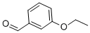 3-Ethoxybenzaldehyde