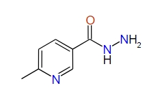6-Methylnicotinic acid hydrazide