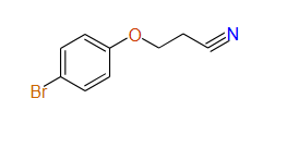 3-(4-Bromophenoxy)propanenitrile, 97%