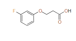 3-(3-Fluorophenoxy)propanoic acid, 97%