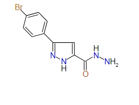 3-(4-Bromophenyl)-1H-pyrazole-5-carbohydrazide, 97%